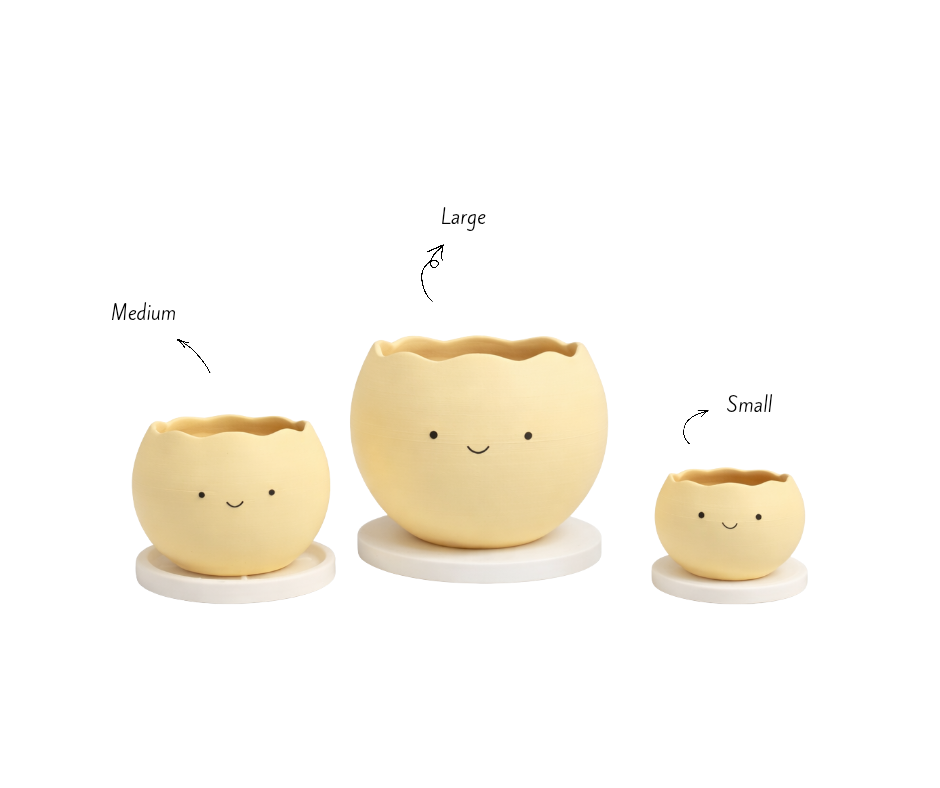 Smiley Planter Pots