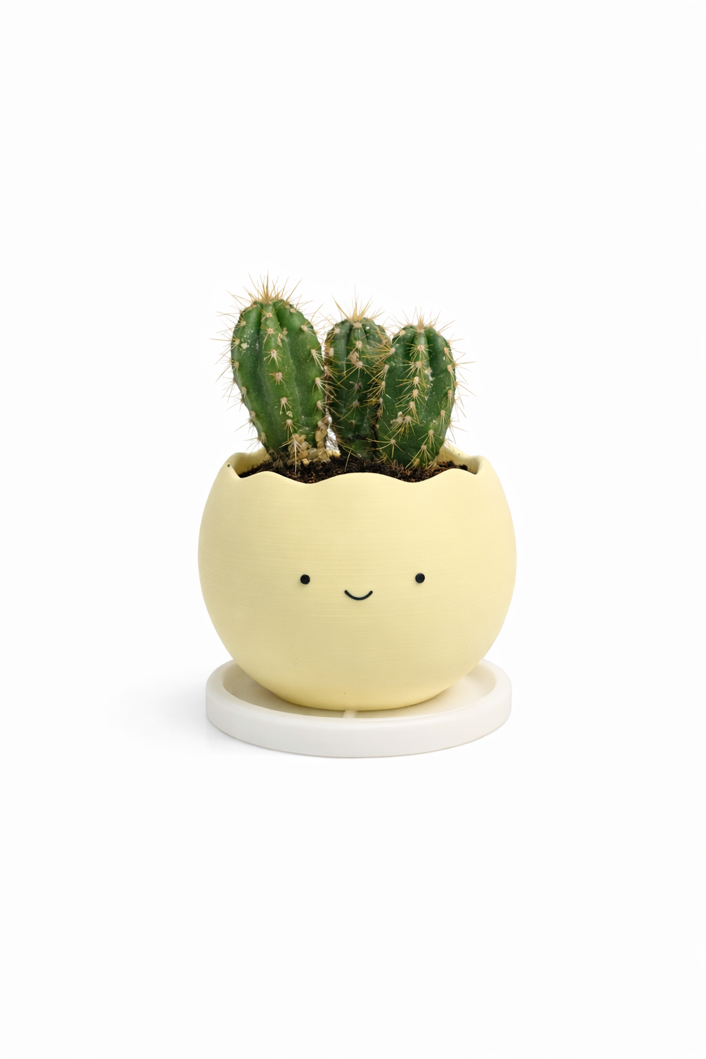 Smiley Planter Pots