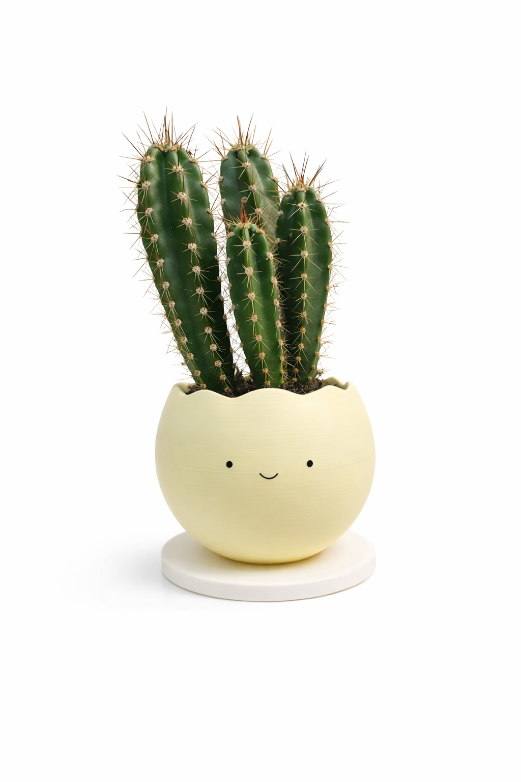 Smiley Planter Pots
