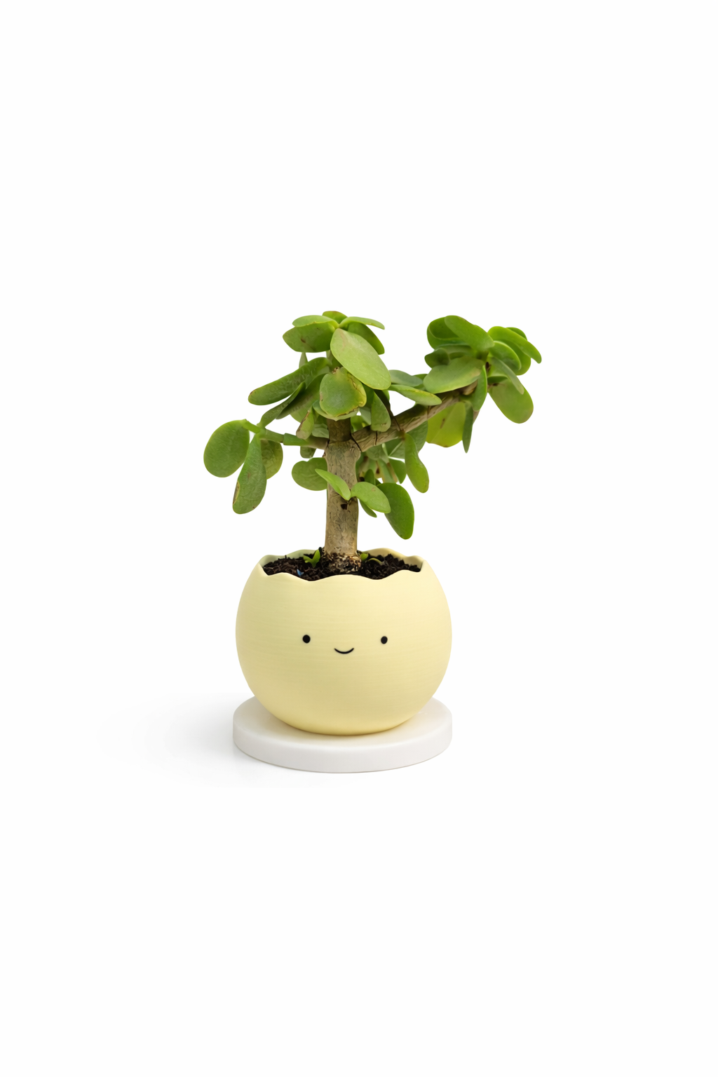 Smiley Planter Pots