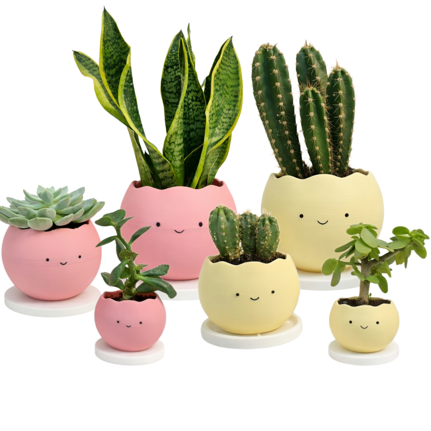 Smiley Planter Pots