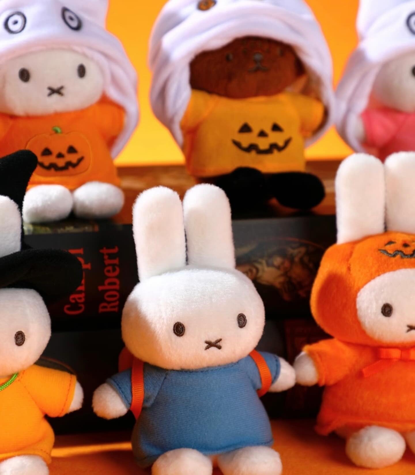 VIPO x Miffy Halloween Series Plush Blind Box