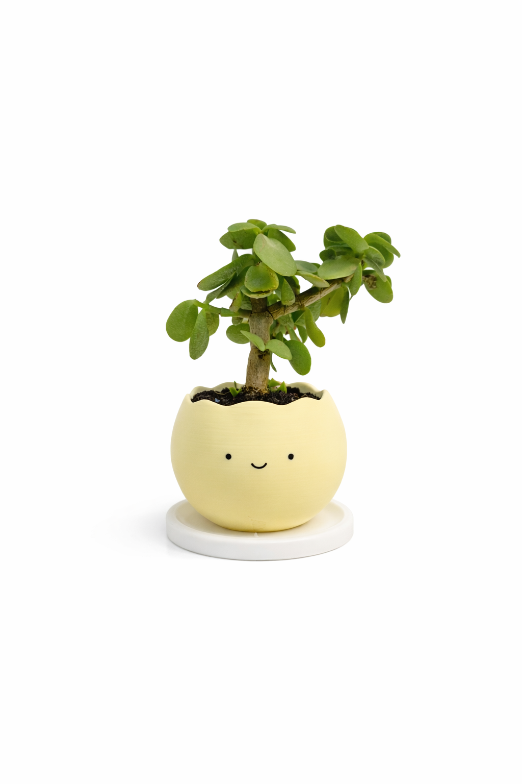 Smiley Planter Pots