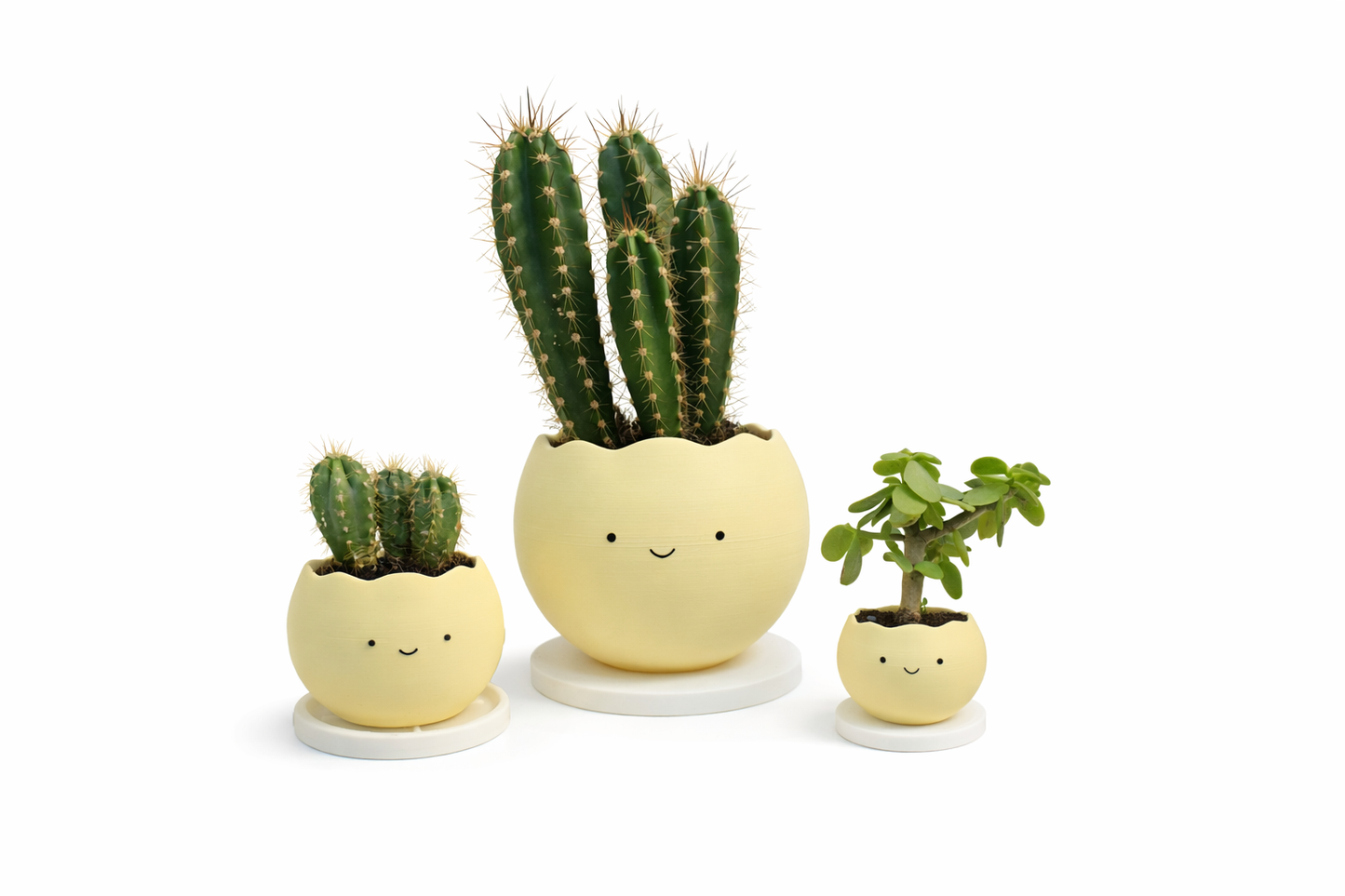 Smiley Planter Pots