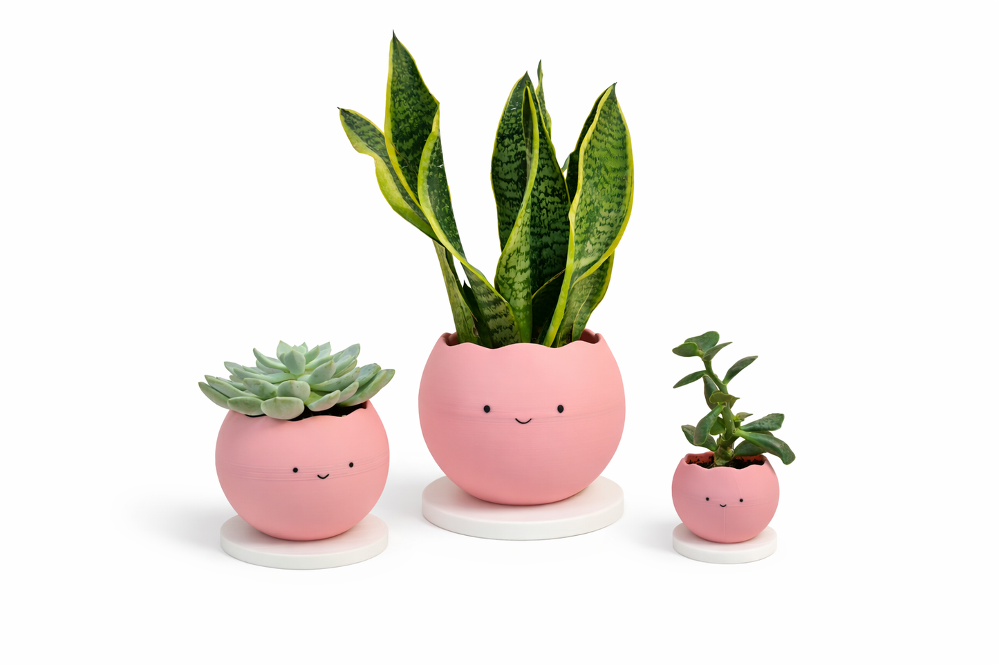 Smiley Planter Pots